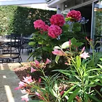 Eraclea Palace 4*